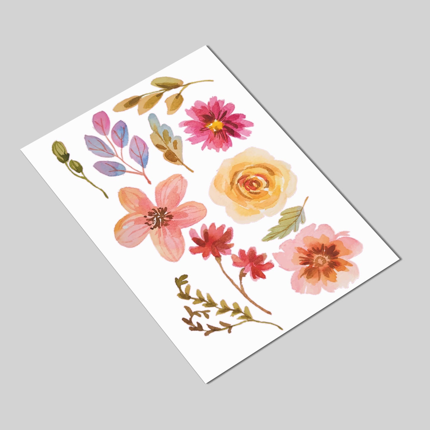 Pink flowers