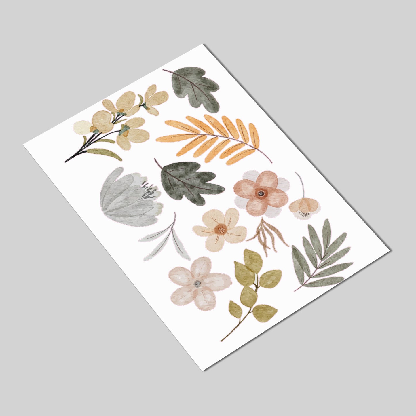 Botanical