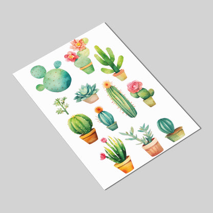 Cactus