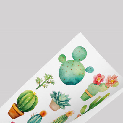 Cactus